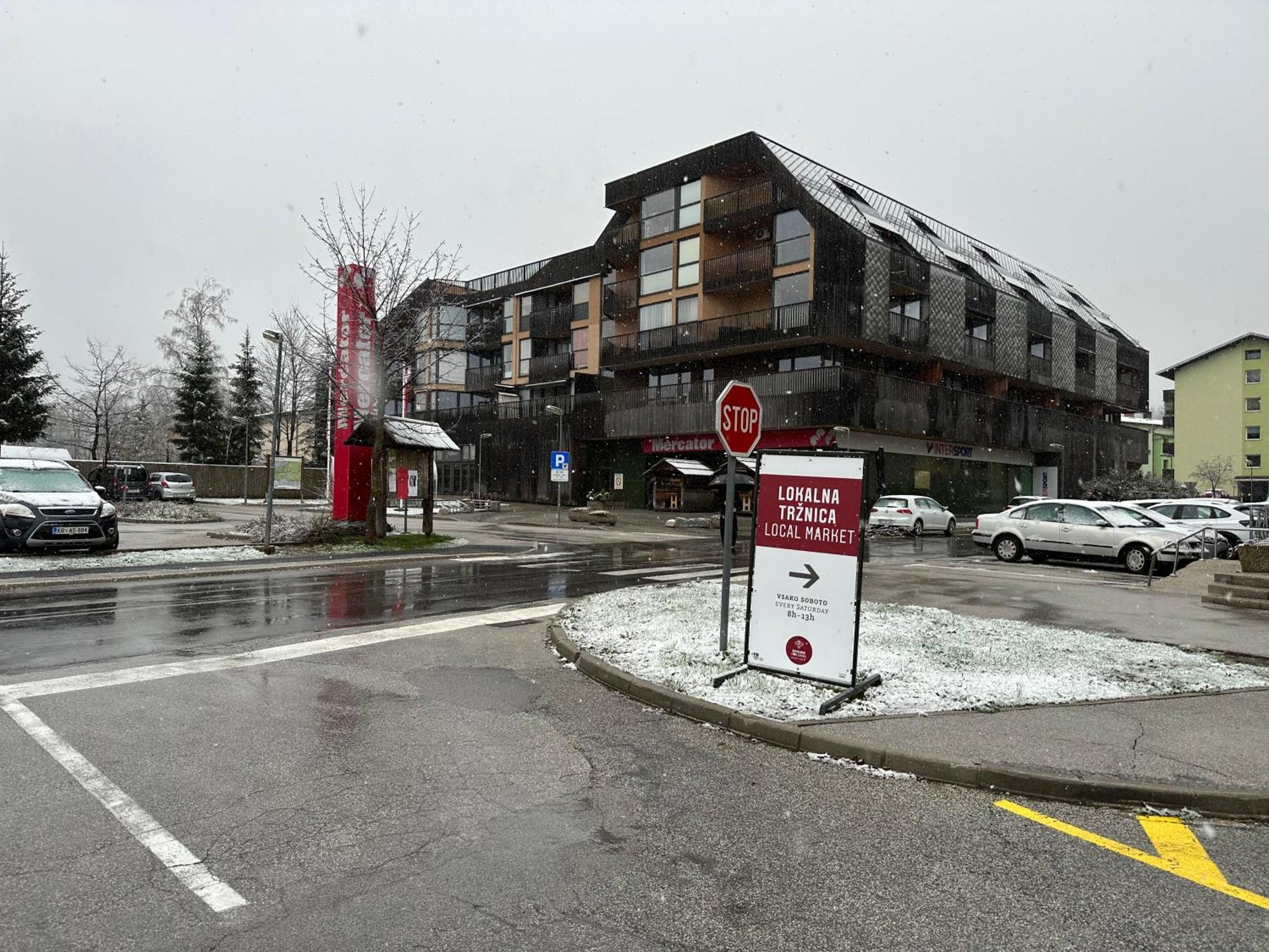 Apartma Tisa Bohinj-No Ouside Windows 외부 사진