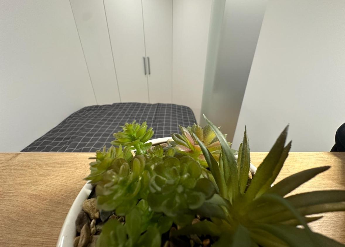 Apartma Tisa Bohinj-No Ouside Windows 외부 사진