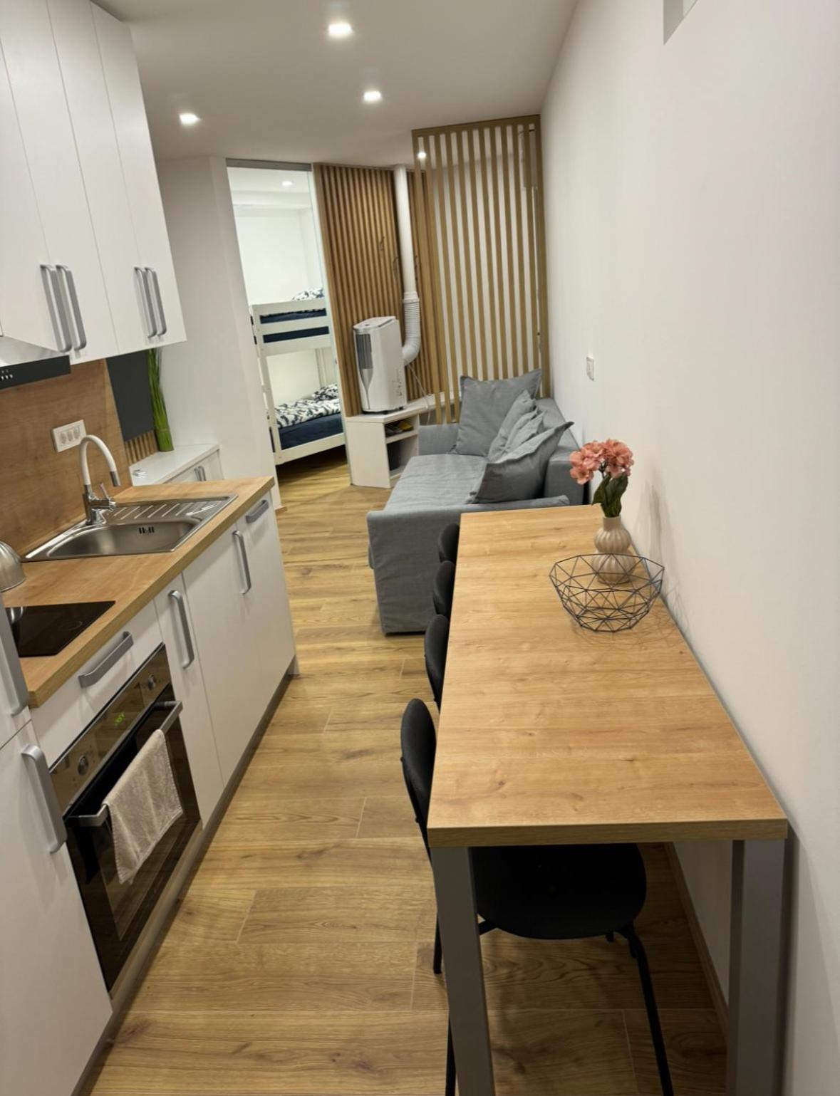 Apartma Tisa Bohinj-No Ouside Windows 외부 사진